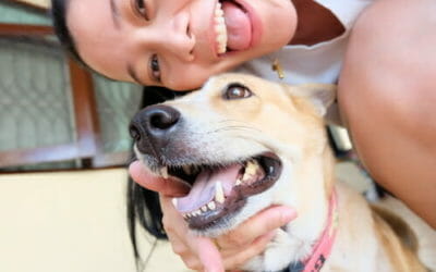 La guida per pulire i denti al cane in modo naturale ed efficace