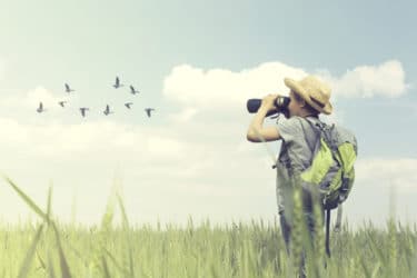 Birdwatching: consigli per praticare l’osservazione degli uccelli e come riconoscerli