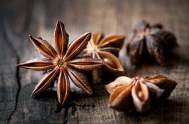 Tutto sull’anice stellato: un antibiotico naturale dai mille usi in cucina