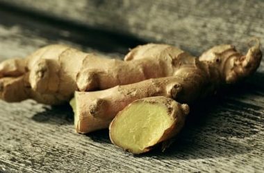 La guida pratica per coltivare zenzero in vaso, sacchi o bidoni