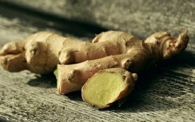 La guida pratica per coltivare zenzero in vaso, sacchi o bidoni