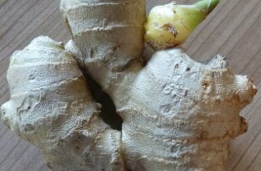 La guida pratica per coltivare zenzero in vaso, sacchi o bidoni