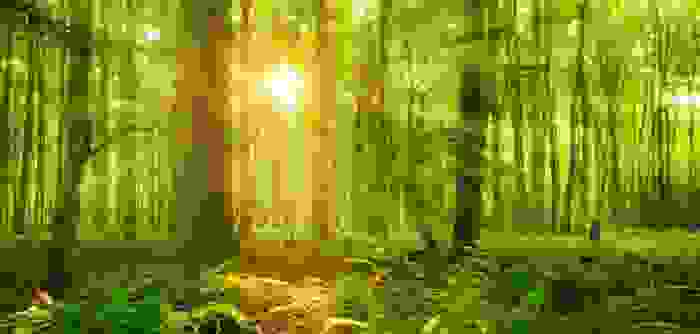 felci