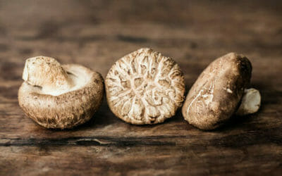 Funghi shiitake: proprietà e usi culinari dei re dei funghi provienienti dall’Oriente