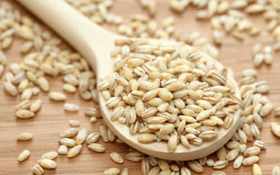 I benefici dell’orzo perlato, un alimento nutriente e sano, con le migliori ricette per servirlo in tavola