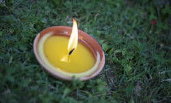 Candele alla citronella: ottime contro le zanzare, impariamo a farle in casa col vero olio essenziale