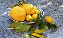 Guida al cedro: scopriamo le proprietà e gli utilizzi in cucina di questo agrume particolare