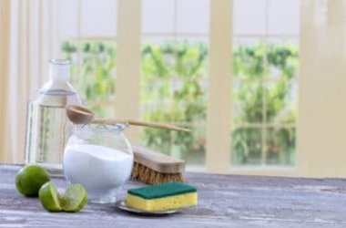 Le guide pour fabriquer un anti-moisissure naturel: facile, économique et écologique