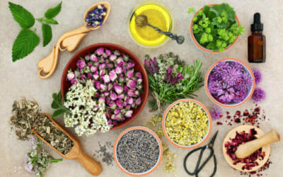 Erbe medicinali: l’elenco completo e la guida all’utilizzo