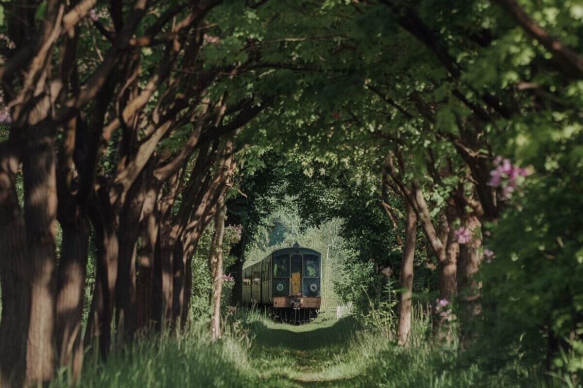 In Ucraina un magnifico tunnel verde