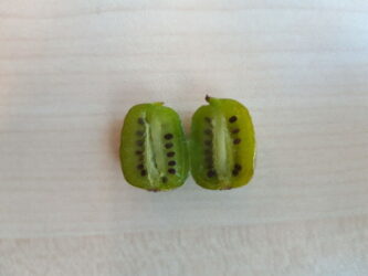 Nergi, il nuovo superfood è come un baby kiwi, dolcissimo e ricco di vitamine