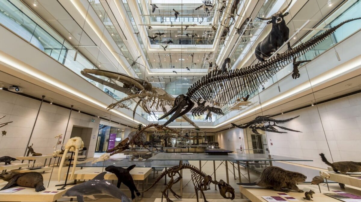 MUSE - Museo delle Scienze di Trento è un edificio sostenibile