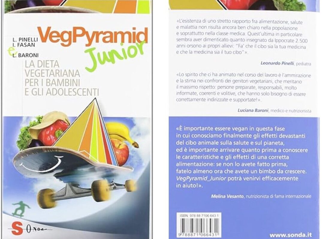 veg pyramid junior