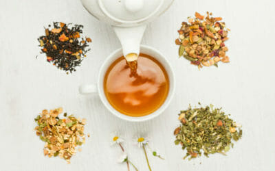 Quali sono le differenze tra tisane, infusi e decotti? La guida pratica