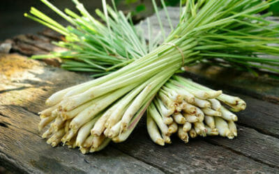 Lemongrass: un’erba usata soprattutto nella cucina thai