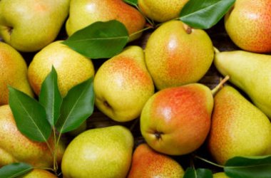 Pere: tutti i segreti di questo frutto così comune, ma non sempre conosciuto