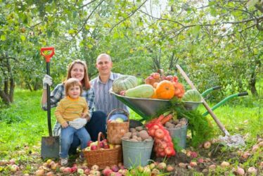 Cos’è l’agricoltura rigenerativa? Quali sono i suoi vantaggi?