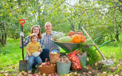 Cos’è l’agricoltura rigenerativa? Quali sono i suoi vantaggi?