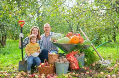 Cos’è l’agricoltura rigenerativa? Quali sono i suoi vantaggi?
