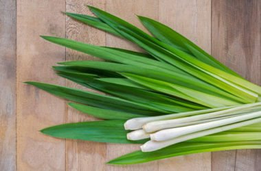 Lemongrass: un’erba usata soprattutto nella cucina thai