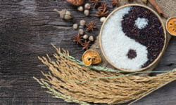 Cos’è la dieta yin e yang e quali cibi bisogna mangiare