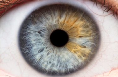 Quello che c’è da sapere sull’iridologia: gli occhi come specchio della salute, oltre che dell’anima