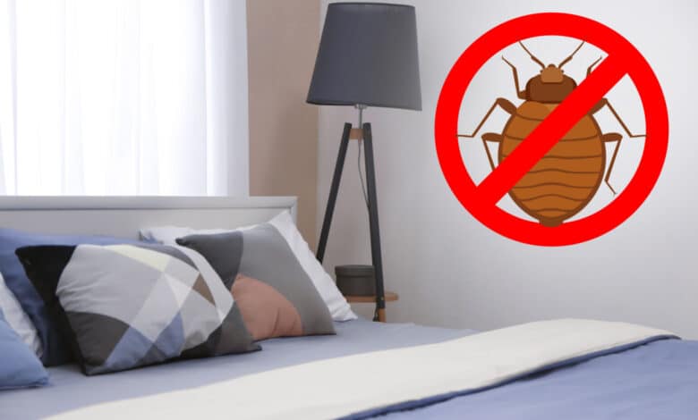 come allontanare le cimici