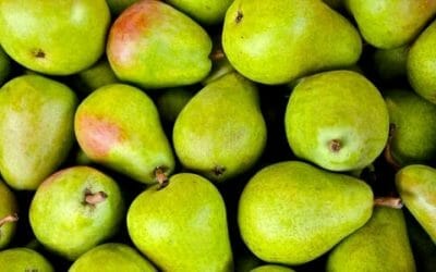 Tutte le varietà di pera e le loro proprietà: quello che devi sapere su un frutto da conoscere assolutamente
