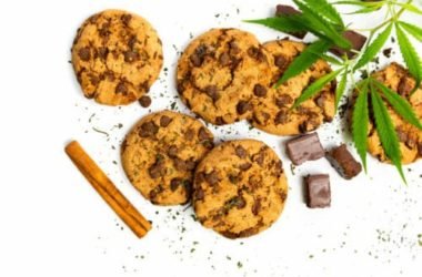Farina di canapa: proprietà e utilizzi della farina gluten-free