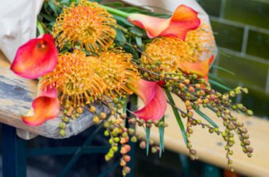 Fiori arancioni: sono perfetti per il giardino e per decorare la casa in autunno