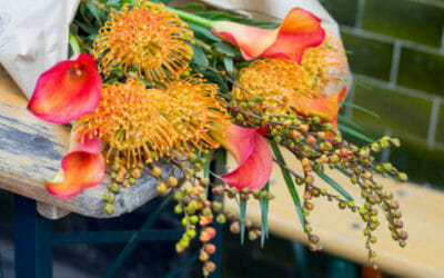 Fiori arancioni: sono perfetti per il giardino e per decorare la casa in autunno