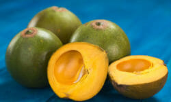 Tutto sulla lucuma, un frutto esotico proveniente dal Perù