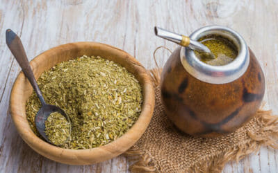 Yerba mate: cos’è e come si prepara questo infuso molto popolare in Sud America