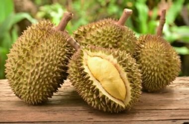 Cos’è il durian e quali sono le sue proprietà? La guida a questo frutto dal sapore (e dall’odore) particolare