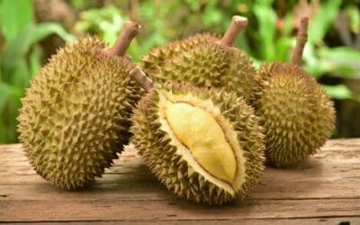 Cos’è il durian e quali sono le sue proprietà? La guida a questo frutto dal sapore (e dall’odore) particolare