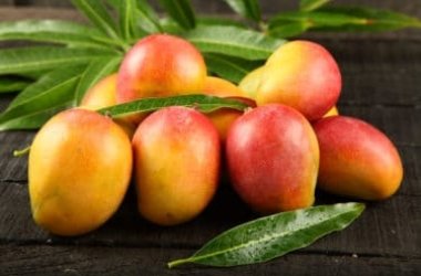 Les propriétés de la mangue, les meilleures recettes et le guide pour la couper facilement