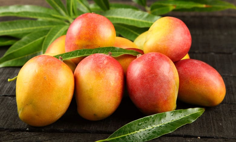 mango