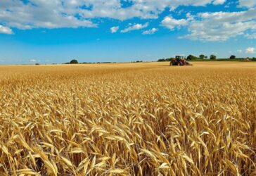 In USA poche multinazionali dominano il cibo, agricoltori in crisi