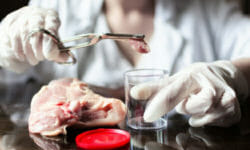 Cos’è la trichinella e come difendersi da questo parassita molto pericoloso