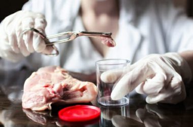 Cos’è la trichinella e come difendersi da questo parassita molto pericoloso