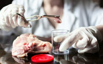 Cos’è la trichinella e come difendersi da questo parassita molto pericoloso