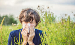 Tutto sull’ambrosia e sulle reazioni allergiche che scatena