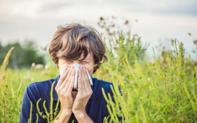 Tutto sull’ambrosia e sulle reazioni allergiche che scatena
