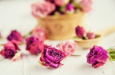 Come utilizzare i fiori secchi per decorare e profumare la casa: le tecniche da conoscere