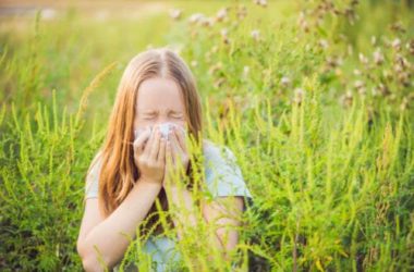 Tutto sull’ambrosia e sulle reazioni allergiche che scatena