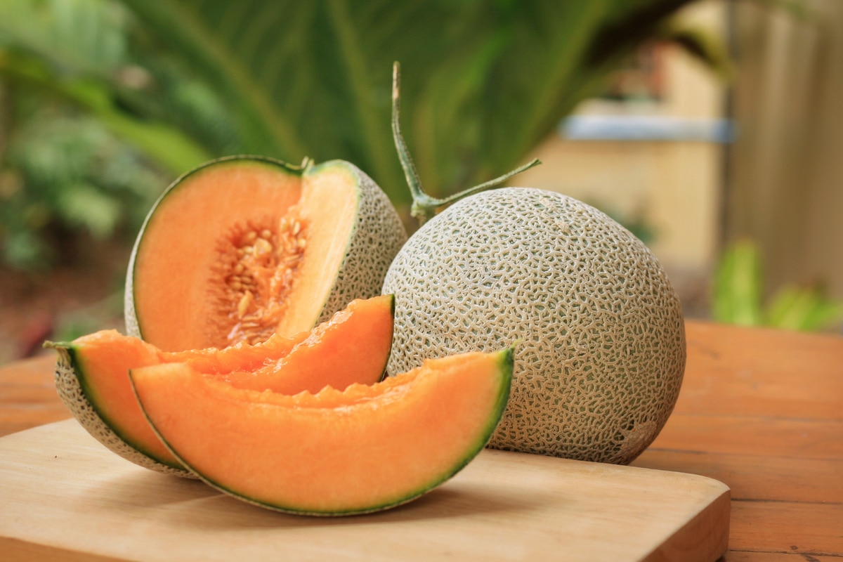 Melone proprietà, benefici e ricette con questo frutto Melone proprietà, benefici e ricette con questo frutto