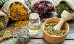 Scopriamo l’olio 31, un prodotto naturale ricavato dalla miscela di 31 erbe officinali
