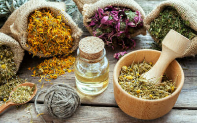 Scopriamo l’olio 31, un prodotto naturale ricavato dalla miscela di 31 erbe officinali