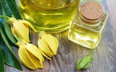 La guida all’olio di ylang ylang: proprietà, utilizzi e ricette, non solo per la bellezza