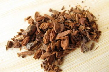 La china: una pianta molto utilizzata in erboristeria e fitoterapia